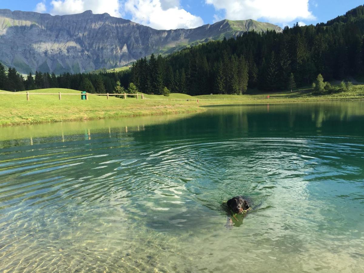 Fleur Des Montagnes Apartment Praz-sur-Arly Bagian luar foto