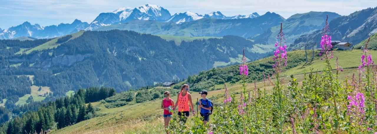 Fleur Des Montagnes Apartment Praz-sur-Arly Bagian luar foto