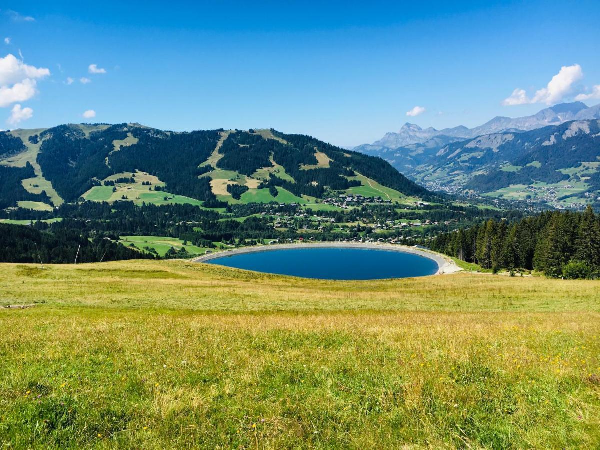 Fleur Des Montagnes Apartment Praz-sur-Arly Bagian luar foto