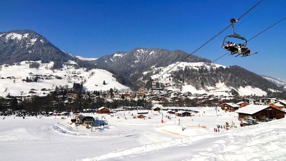 Fleur Des Montagnes Apartment Praz-sur-Arly Bagian luar foto